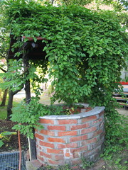 Brunnen mit bewachsenem Dach