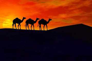 Fototapeta na wymiar 3D render of camel