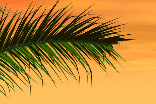 3D render of palm tree