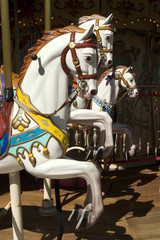 Fototapeta na wymiar Karuzela z białego konia portret