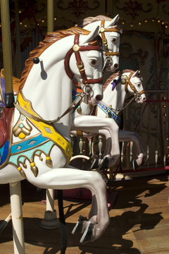 Carousel with white horse portrait