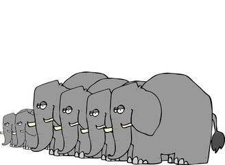 Elephant Herd