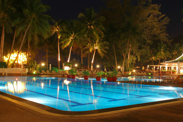 Swimming pool, night and palm trees