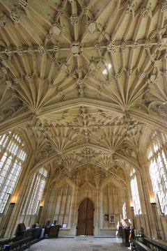 Ornate Ceiling, Bodleian Library, Oxford University