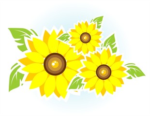 Three sunflowers