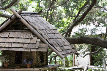 Fototapeta na wymiar bambusowa chata