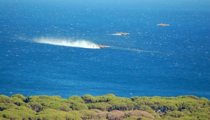 Obraz premium canadair