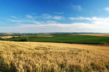 Rural landscape