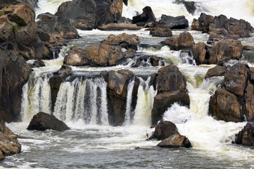 Closeup on Potomac Falls with blue herons