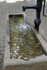 Wassertrog