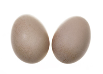 Two Free Range Eggs