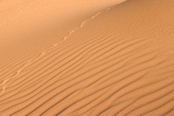 Dune