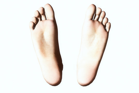 3D render of a Woman's feet