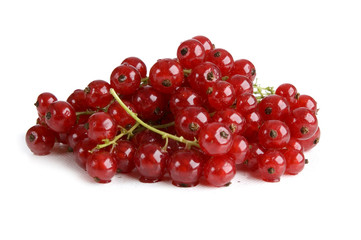 fresh redcurrant berry fruit close up shoot
