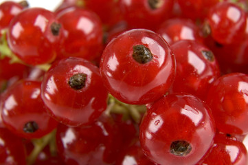 fresh redcurrant berry fruit close up shoot