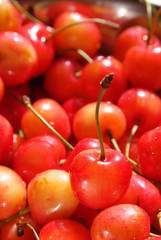 cereza entre cerezas