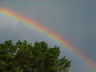Arcobaleno
