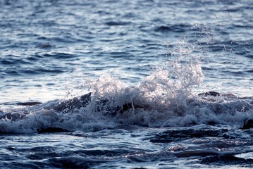 Naklejka premium Splashing water