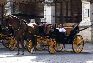 Horse and cart in Seville. Tourist attraction.