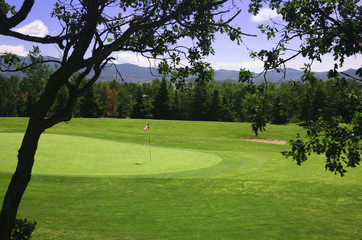 A Summer Day at the Golf Course