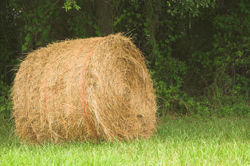 A field with a bale of wheat hay.
