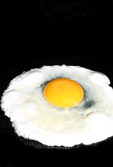 fried egg