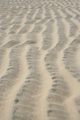 rippled sand texture