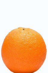 Orange positioned lower frame, isolated on white.