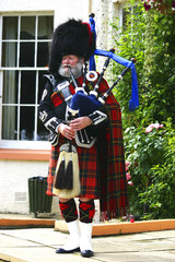 A Scottish bagpiper in full highland kilt dress and beard  - obrazy, fototapety, plakaty