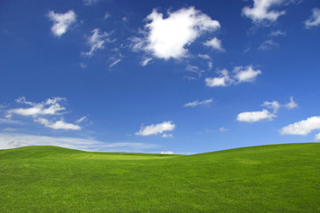 Beautiful green landscape with a great blue sky  - Powered by Adobe