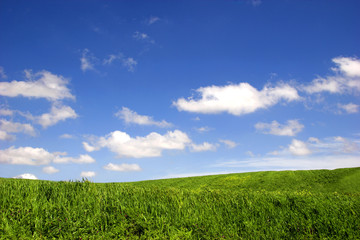Green field landscape with a great blue sky