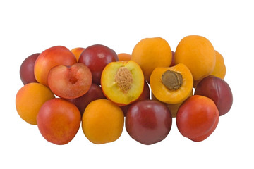 apricot, plum, nectarine isolated on white