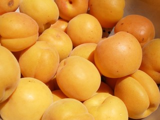 abricots