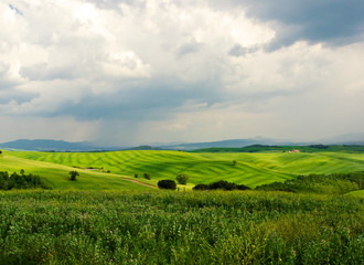 Fototapeta na wymiar Tuscan Landscape