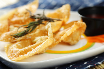 A plate of fried chinese dumplings