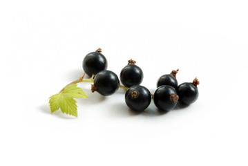 blackcurrant
