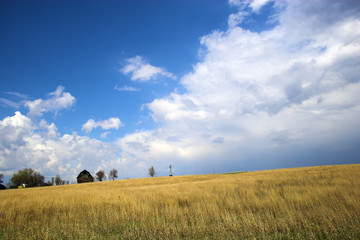Fototapeta premium Countryside