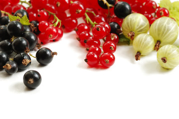currants