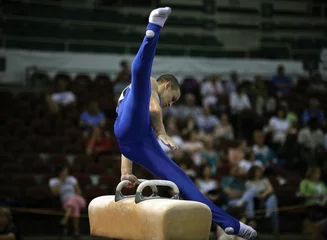Foto op Canvas Young man competing on the pommel © Galina Barskaya