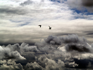 storm clouds