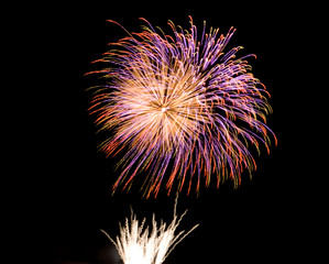 Fireworks Display (Red-Purple)