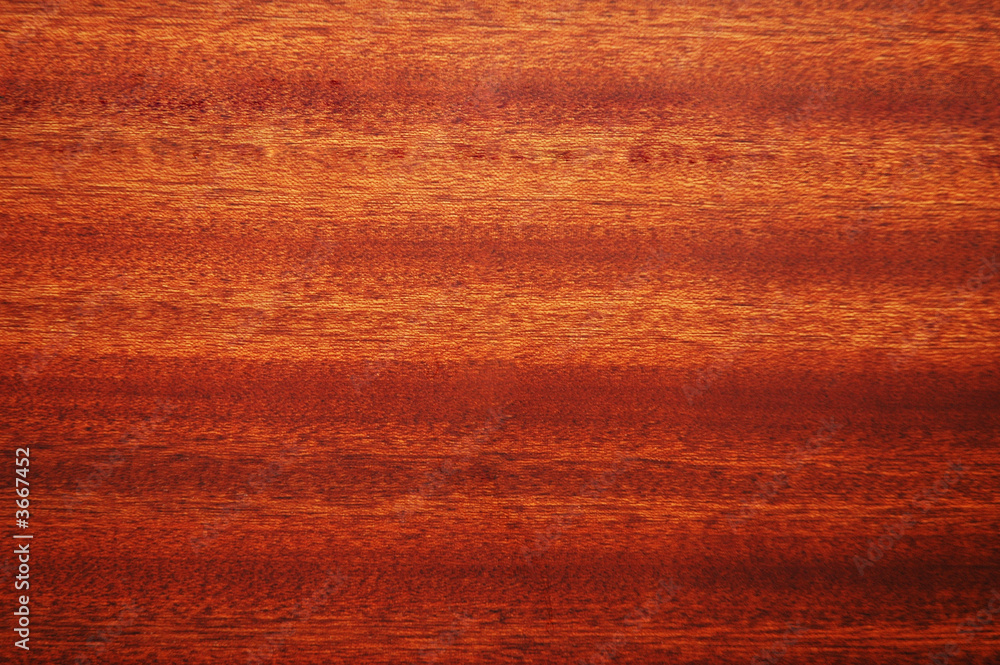 Wall mural texture of wooden floor - can be used as background