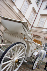 ganz in weiss