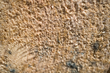 Background texture using wood material brown