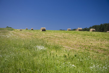 landscape whit blue sky  and green hill in Poland