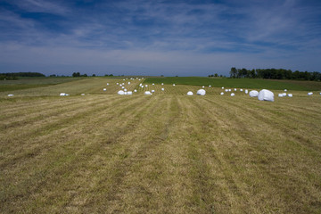 landscape whit blue sky  and green hill in Poland