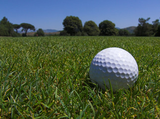 golf prato pallina