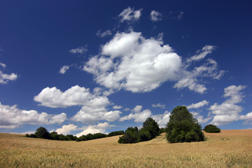 Obraz premium summer countryside in czech republic
