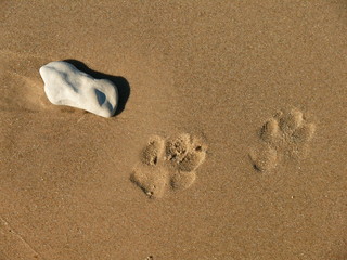 Spuren im Sand