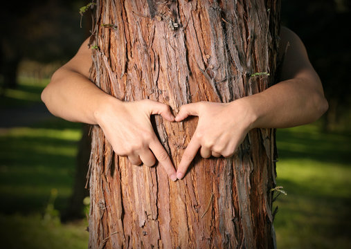Tree Lover. empowers people to grow & care for trees 